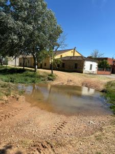a body of water in the middle of a field at Casa rural ‘’La Nuestra’’ in Bercimuel +35 photos