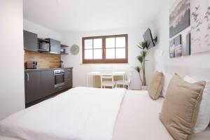 Kuchyň nebo kuchyňský kout v ubytování Apartmenthaus ROSE