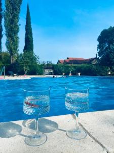 dos vasos de agua sentados junto a una piscina en Casa Ivan, en Tihaljina