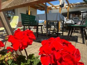 Fotografie z fotogalerie ubytování Apartments Zupan v destinaci Šenčur