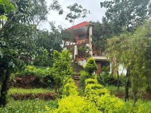 a house in the middle of a forest at Winnie's Cozy Home in Iringa
