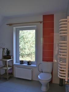 a bathroom with a toilet and a window at Domek Jantar in Jantar