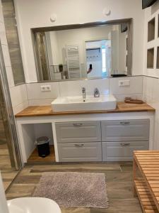 a bathroom with a sink and a mirror at Exklusives Apartment Nähe Attendorn und Olpe für 6 Personen mit Dachterasse in Attendorn