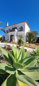 Afbeelding uit fotogalerij van La Vista Viñuela in Viñuela