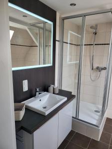 un bagno bianco con lavandino e doccia di City Lounge an der Feuerwache mit Außenbereich mit Klimaanlage a Wolmirstedt