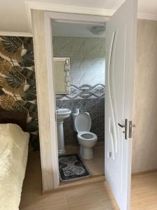 a bathroom with a toilet in a room at Hotel-Restaurant Khvanchkara in Khvanchkara