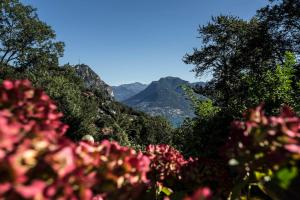 Gallery image of Casa Calina in Carona