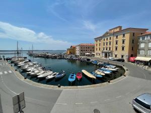 a group of boats in a marina in a city at Apartment Tartini in Piran