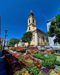 Zahrada ubytování Zemun Central