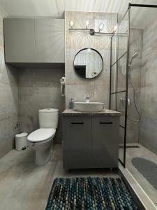 a bathroom with a toilet and a sink and a mirror at Iancu in Brăila