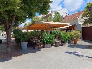 Zahrada ubytování Zemun Central
