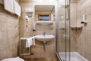 een badkamer met een wastafel en een douche bij Der Burgblick-Adults Only in Werfen