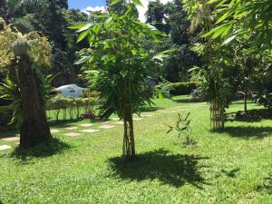 due alberi nell'erba in un giardino di Camiguin Lanzones Resort a Mambajao