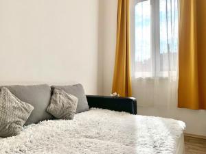 Central Sunny 3 room apartment 1067 Budapest, Teréz krt. 7 kép - 2