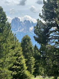 a group of trees with a mountain in the background at Chalet Resciesa Ortisei in Ortisei
