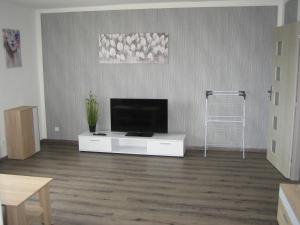 TV a/nebo společenská místnost v ubytování Apartmány Polepy