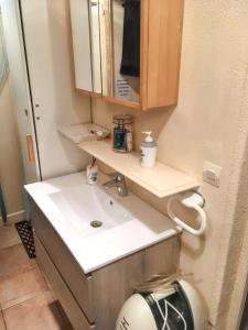 a bathroom with a sink and a mirror at Bungalow de 2 chambres avec piscine privee jardin clos et wifi a Saint Chamassy a 3 km de la plage in Saint-Chamassy