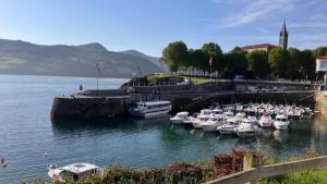 a bunch of boats are docked in a harbor at Duplex 122m2, 4 dormitorios, 2 baños completos, Wifi 1GB in Mundaka