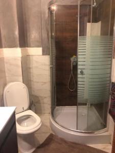 Pont BlondinにあるAl Kawtar Bahia d'El Mansouriaのトイレとガラスのシャワー付きのバスルーム