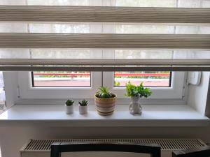 Fotografie z fotogalerie ubytování Apartman Braun Čačak v destinaci Čačak