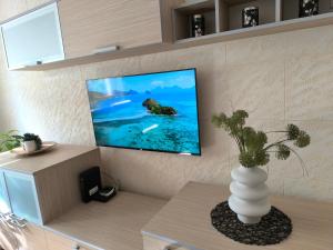 TV a/nebo společenská místnost v ubytování Apartman Braun Čačak