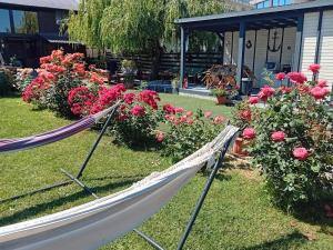Zahrada ubytování Casa Rustica