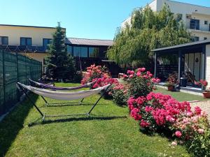 a hammock in the yard next to some flowers at Casa Rustica in Mamaia Nord