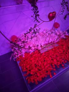 Galeriebild der Unterkunft LovRoom deco Re & Spacieux in Ris-Orangis