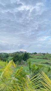 Lanskap alam di dekat homestay