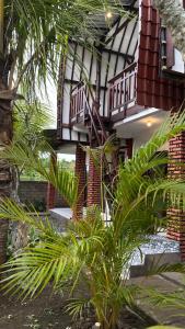 Kebun di luar Alen's Stay&surf