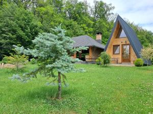 Galeriebild der Unterkunft Căsuțe A-Frame Hardic in Horodnic de Sus