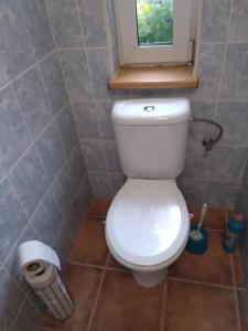 een badkamer met een wit toilet en een raam bij Penzion HORTENZIE in Úsilné