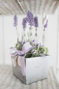 Gallery image of Casa Talo in Arco