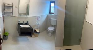 a small bathroom with a toilet and a sink at Vila Rafael si Robert in 2 Mai