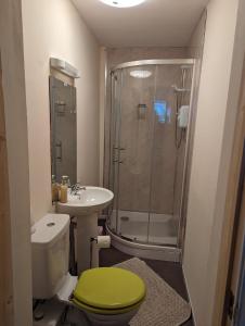 スランディドノにあるOverton Villa Hotelのバスルーム(緑のトイレ、シャワー付)