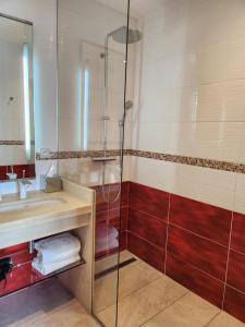 uma casa de banho com um chuveiro e um lavatório. em Kyriad Prestige Lyon Est - Saint Priest Eurexpo Hotel and SPA em Saint-Priest