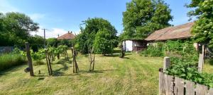 Bukkaranyos 3425 Sály, Rózsavári utca 12 kép - 3