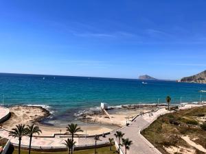 widok na plażę z palmami i oceanem w obiekcie Atlantico w mieście Calpe