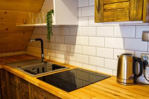 a kitchen counter with a sink and a stove at Apartament z widokiem na Jezioro Solińskie - Zawóz in Zawóz