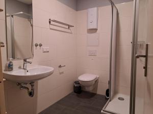 Un baño con lavabo, inodoro y ducha. en Inspektorhaus-Behlendorf, en Steinhöfel