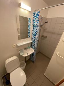 Ένα μπάνιο στο Brekkulækur Guesthouse