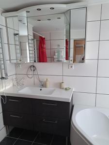 a bathroom with a sink and a toilet and a mirror at Ferienwohnung Tymoshenko in Altenau