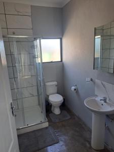 a bathroom with a toilet and a shower and a sink at 22 Duvenhage in Postmasburg