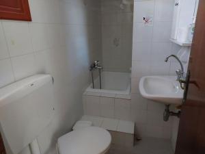 a white bathroom with a toilet and a sink at Victoria2 in Istro +15 photos