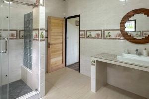 a bathroom with a shower and a sink and a mirror at La Villa Hortensia 3 - 8 personnes in La Digue