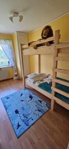 a bedroom with a bunk bed with a lion on it at Hammarstrandvilla in Hammarstrand