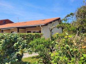 a house behind a hedge in front of a house at DUNES - Villa Patio Avec Jardin - proche Plage de la Gravière in Soorts-Hossegor
