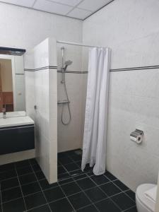Bilik mandi di Hotel Lemmer