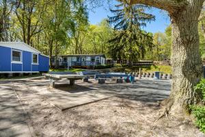 a picnic area with tables and a tree at Bungalow Uschi - Bgl 29 in Dranske