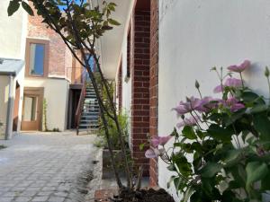 Fotografia z galérie ubytovania Le chêne fleuri v destinácii Chartres
